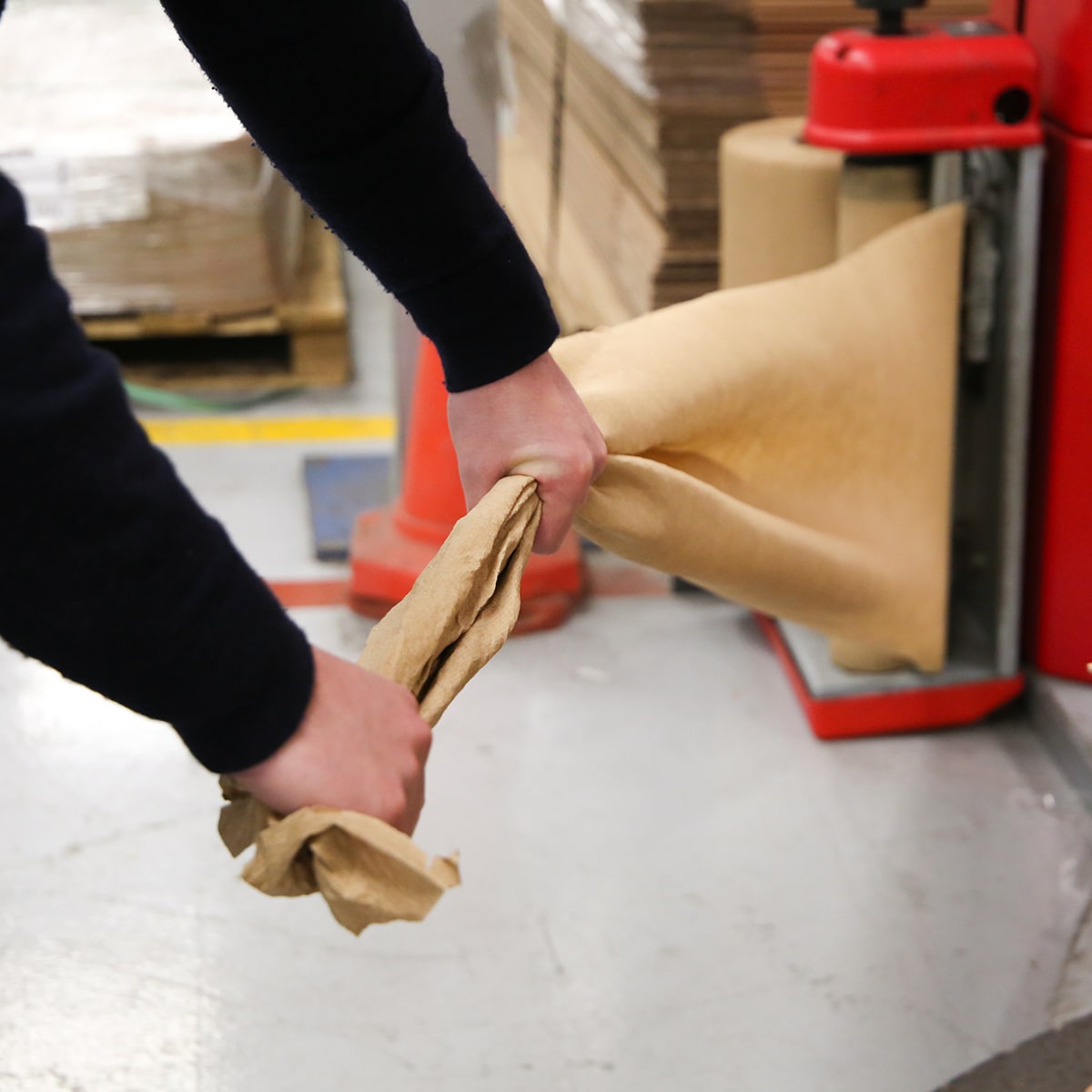Biodegradable Wrapping Paper